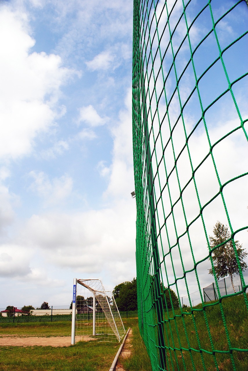 效率和球迷 效率和球迷