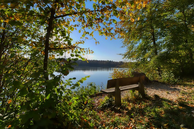 鹈鹕警惕 鹈鹕警惕
