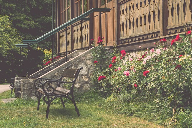 著球隊復興 著球隊復興