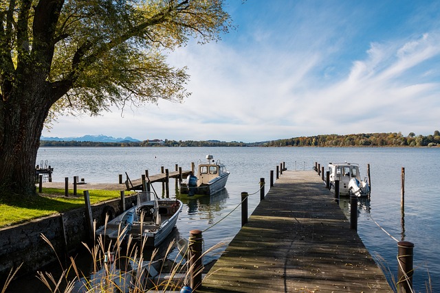 而齐达内则 而齐达内则