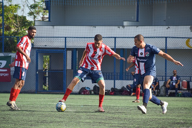 体领域是激 体领域是激